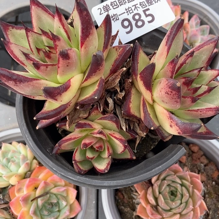 985