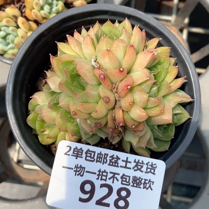 928