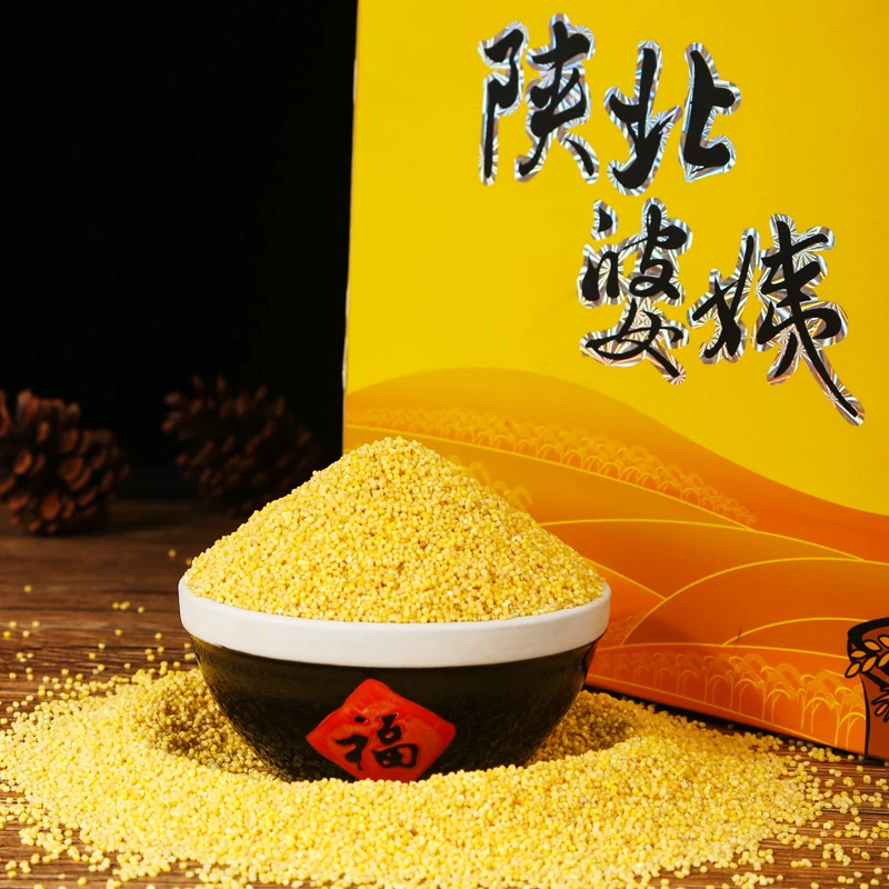 塞上天娇陕西特产小香米陕北米脂黄小米农家月子米新米年货送礼盒