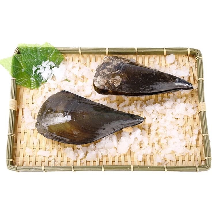 鲜活带子 200-250g/只