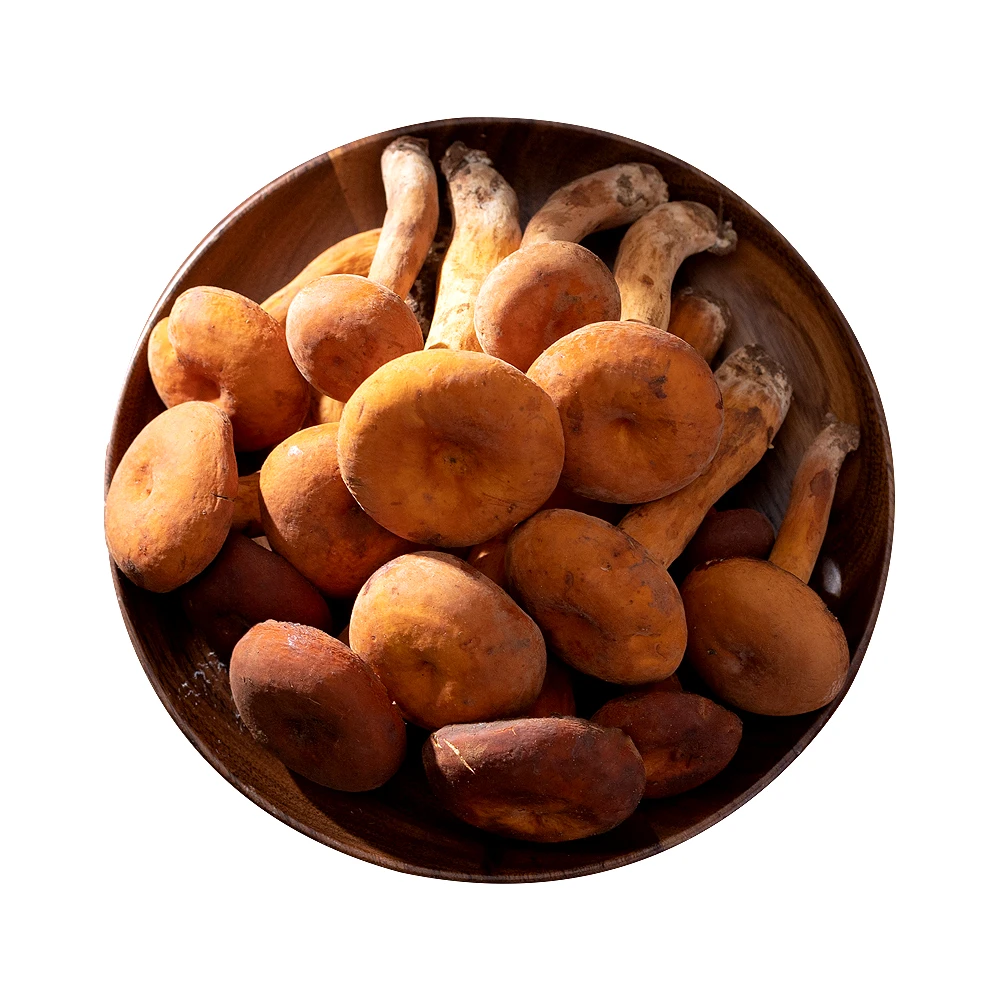 盒马菌菇星球 野生奶浆菌 200g