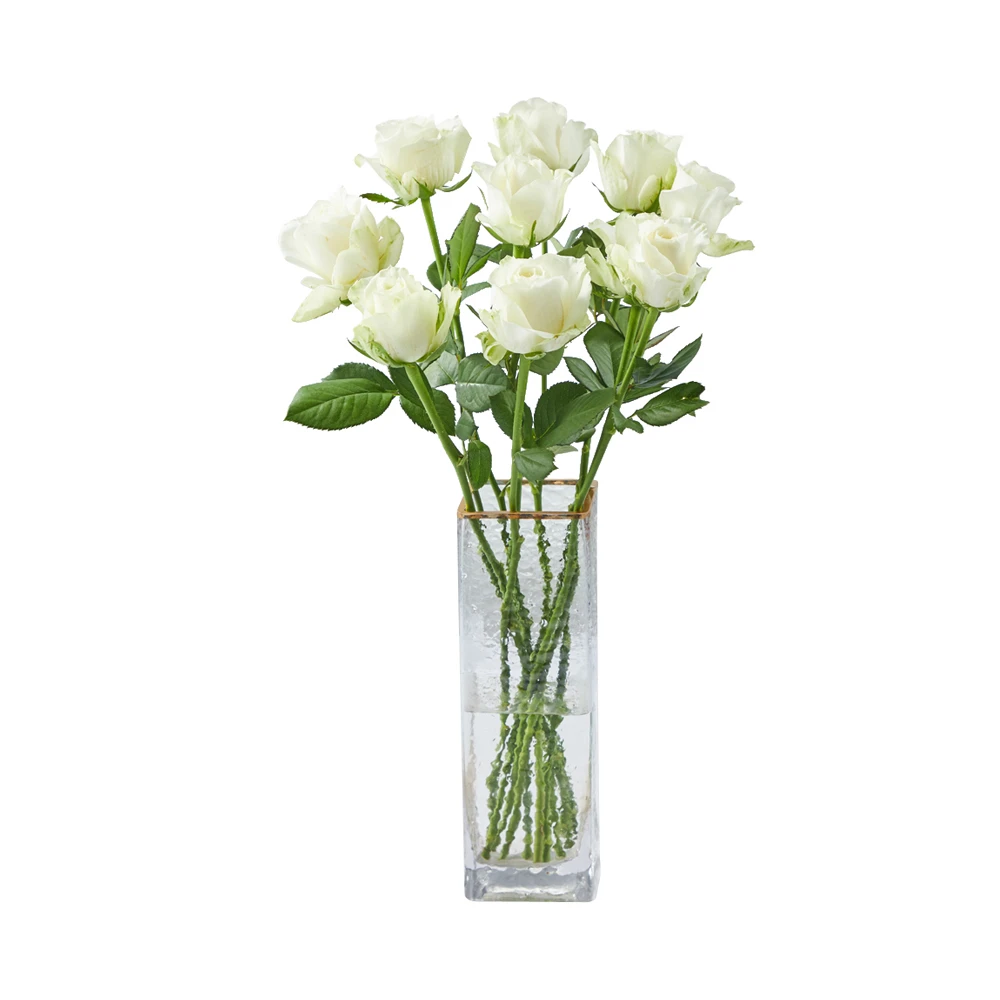 云南单头玫瑰 雪山 10支