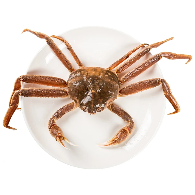 鲜活 雪蟹750-1000g/只蟹同城送