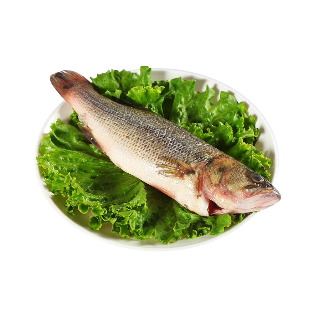 鲜活 水库鲈鱼 400-500g/条