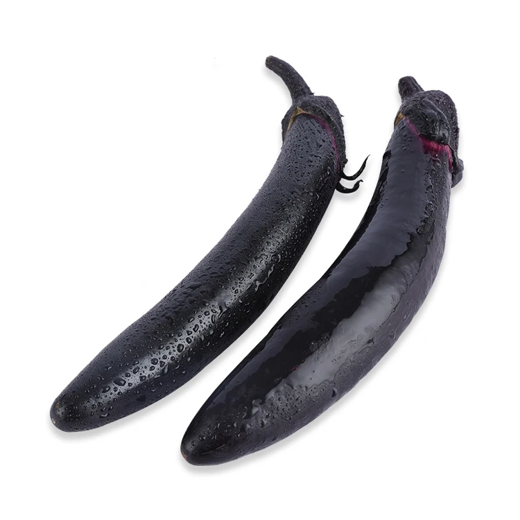 有机黑紫茄 300g