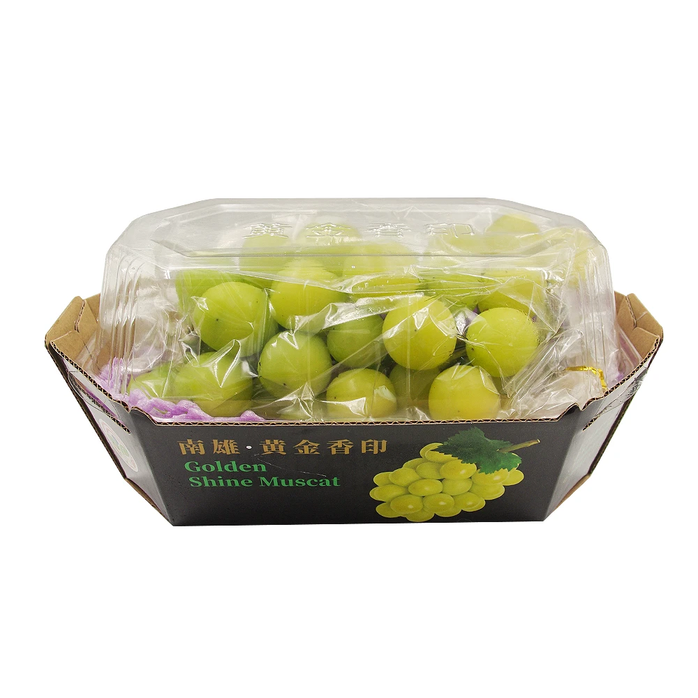 黄金香印葡萄礼盒 1.8kg 预售