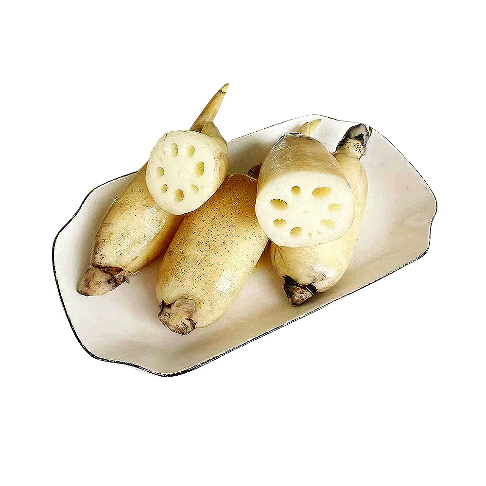 【产地鲜】马踏湖白莲藕 550g