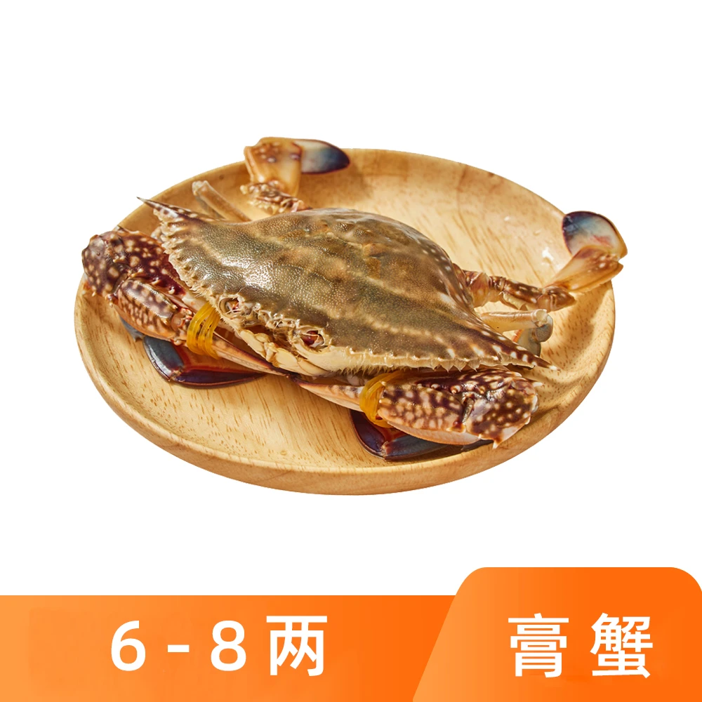 鲜活 红膏梭子蟹300-400g/只