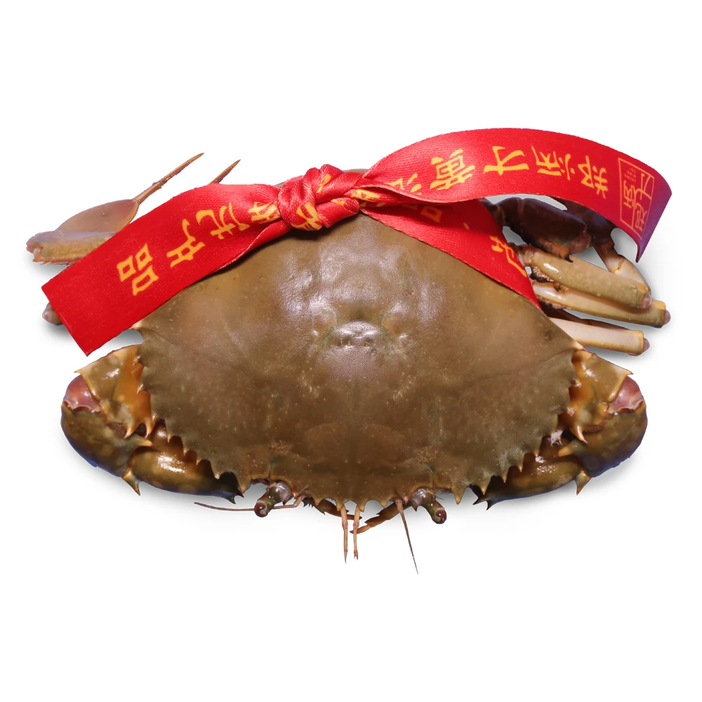 鲜活有机黄油蟹 200-250g/只 预售