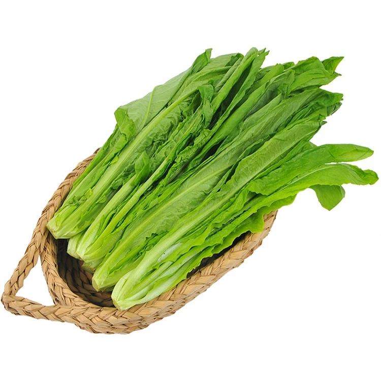 有机油麦菜 250g