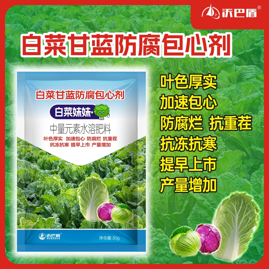 白菜妹妹甘蓝防腐包心剂叶色肥厚防腐烂抗重茬提质增产叶面肥料