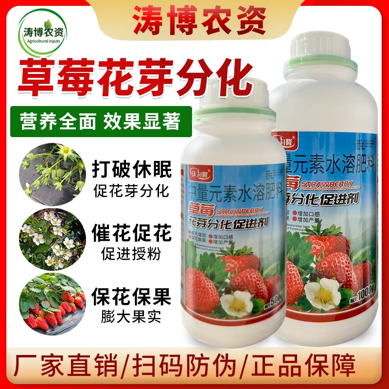 草莓花芽分化促进剂催花膨大增甜增产保花保果花芽饱满叶面肥