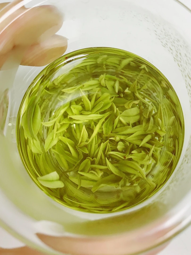 D【兰香高山特白】2025年新茶安吉白茶核心产区春茶鲜爽回甘罐装