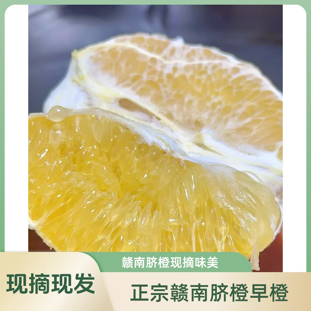 【顺丰专线】赣南脐橙【5斤优惠装】爆汁果肉细腻现摘现发果园直发