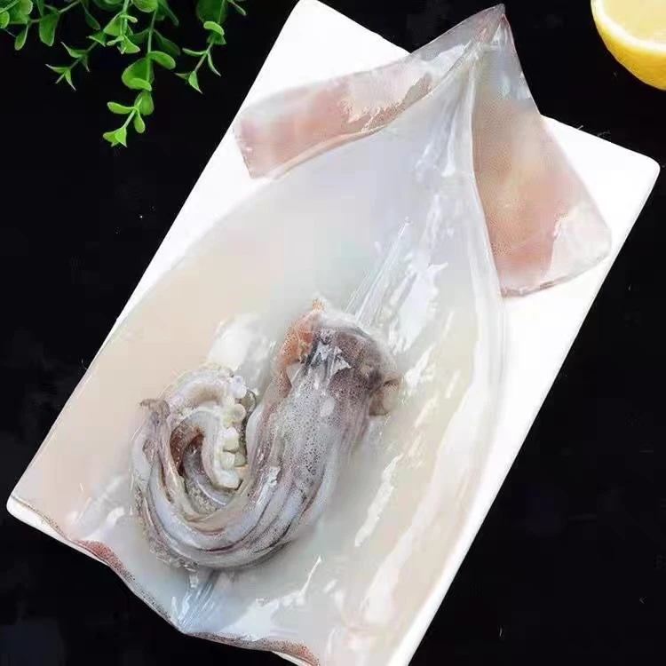 【可爱推荐】液氮鲜冻大鱿鱼  液氮大鱿鱼去眼去皮去内脏 8斤左右