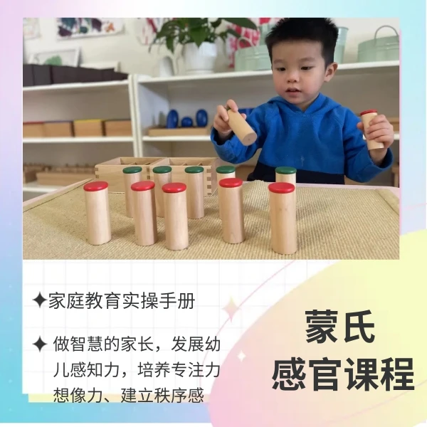 蒙氏感官教育课程
