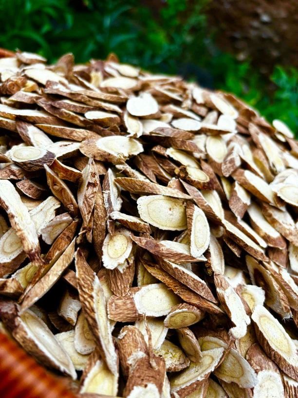 甘肃岷县精选10年老黄芪主根切片原产地无熏硫［煮水泡水煲汤炖肉］