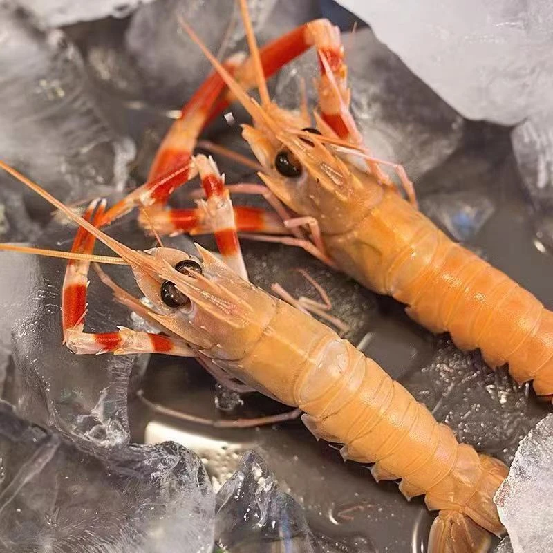 中号【真船冻国产海螯虾】清甜深海刺身虾 100g/盒 生食海鳌虾