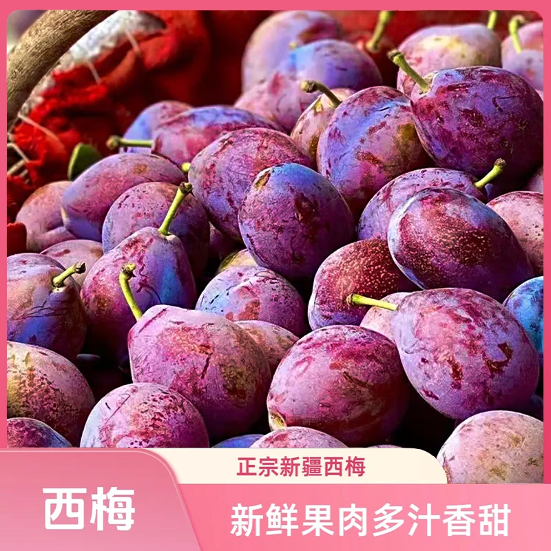 【产地坐飞机】爆甜多汁新鲜水果鲜精品喀什法兰西西梅现采现发