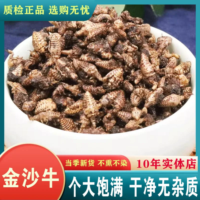中药材精选正品金沙牛优质新货金砂牛虫蚁狮地牯牛倒退虫无杂质