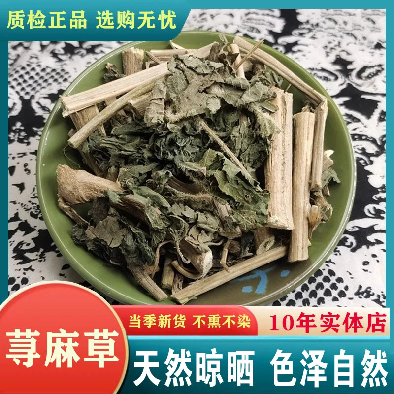 中药材精选正品荨麻草生全棵寻麻叶新货蝎子草蜇人草咬人草苎麻
