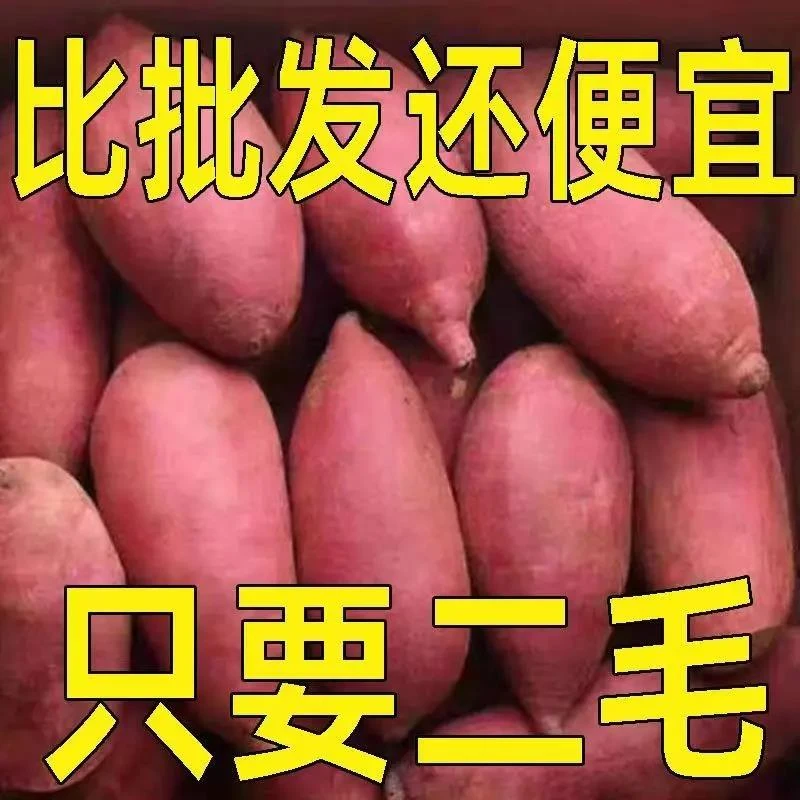 【抢购中】超甜沙地红薯1-9斤西瓜红蜜薯板栗薯地瓜番薯蔬菜辅食甜