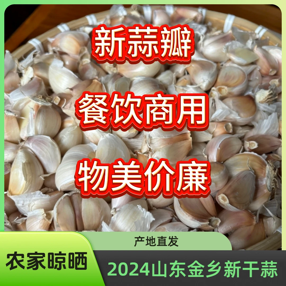 蒜坛子山东金乡2024新干蒜瓣   商用餐厅 经济实惠款