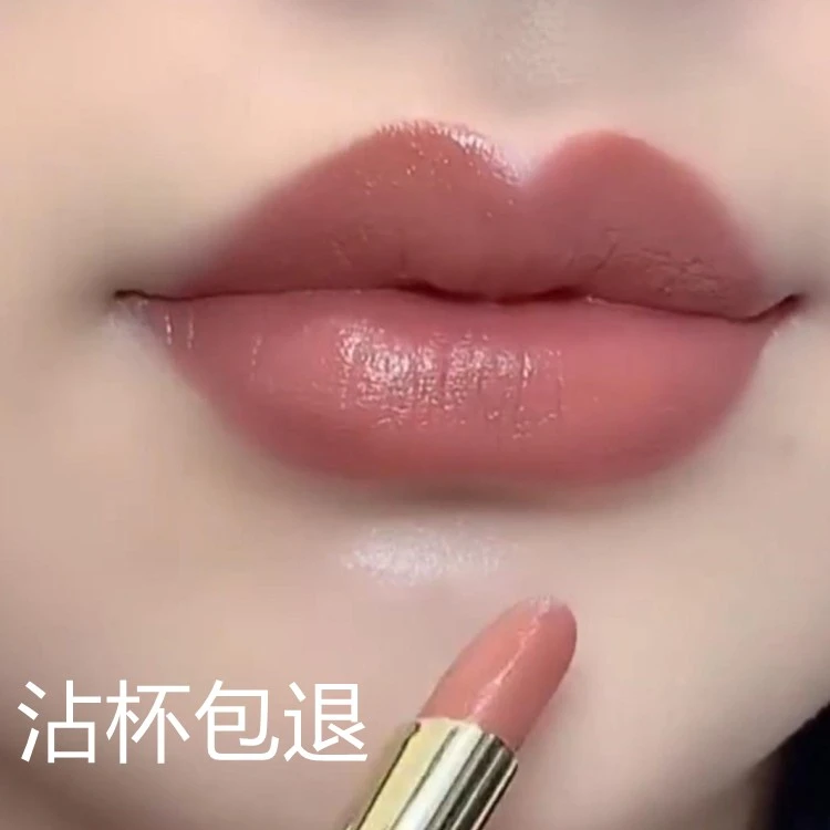 2025新款口红正品不沾杯不掉色肉桂奶茶淡浅胡萝卜豆沙色口红雨衣