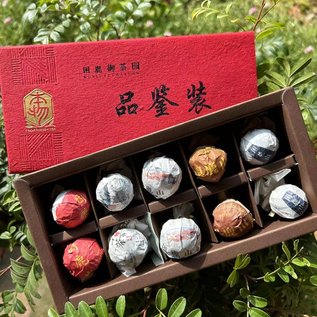 新人福利：2023年困鹿山龙珠【品鉴装】10颗/盒
