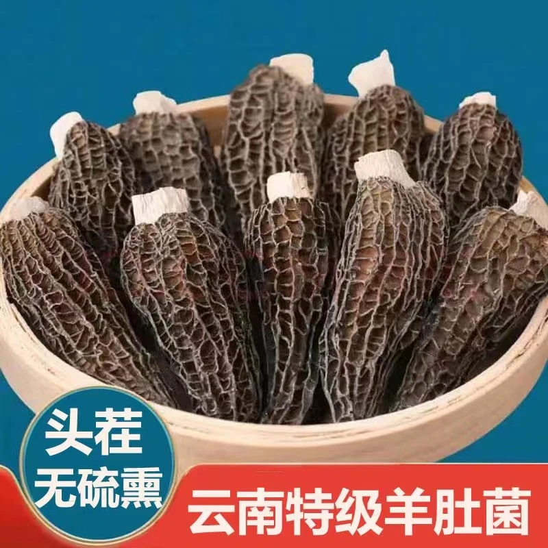 云南光帽全剪脚个头中小炖汤羊肚菌干货称货小规格口感好香味足