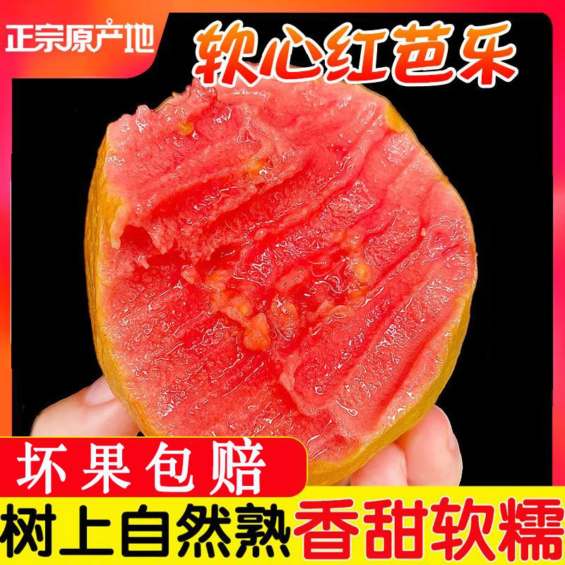 广西红心软芭香甜软糯1/3/5斤红心番石榴采摘树上熟大果坏果包赔