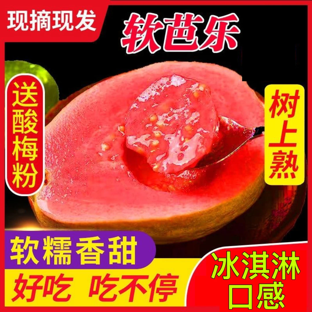 广西红心芭乐果水果树上熟大果甜软糯红心番石榴果园1/3/5斤直发
