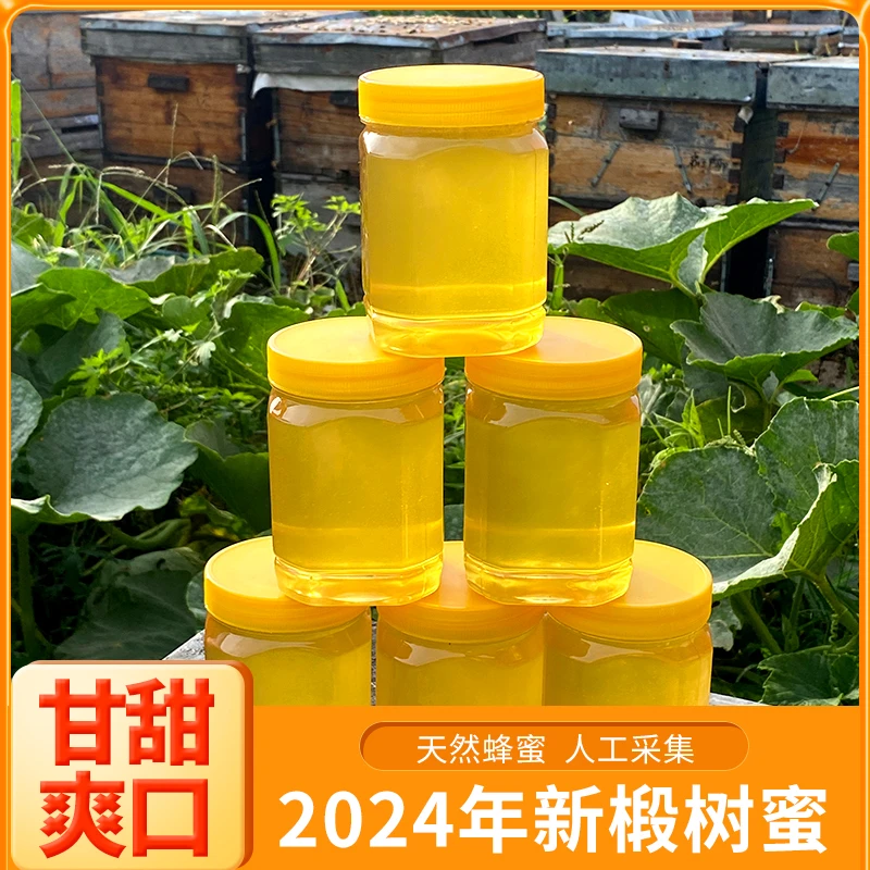 东北椴树蜜纯正天然2024新蜜包邮