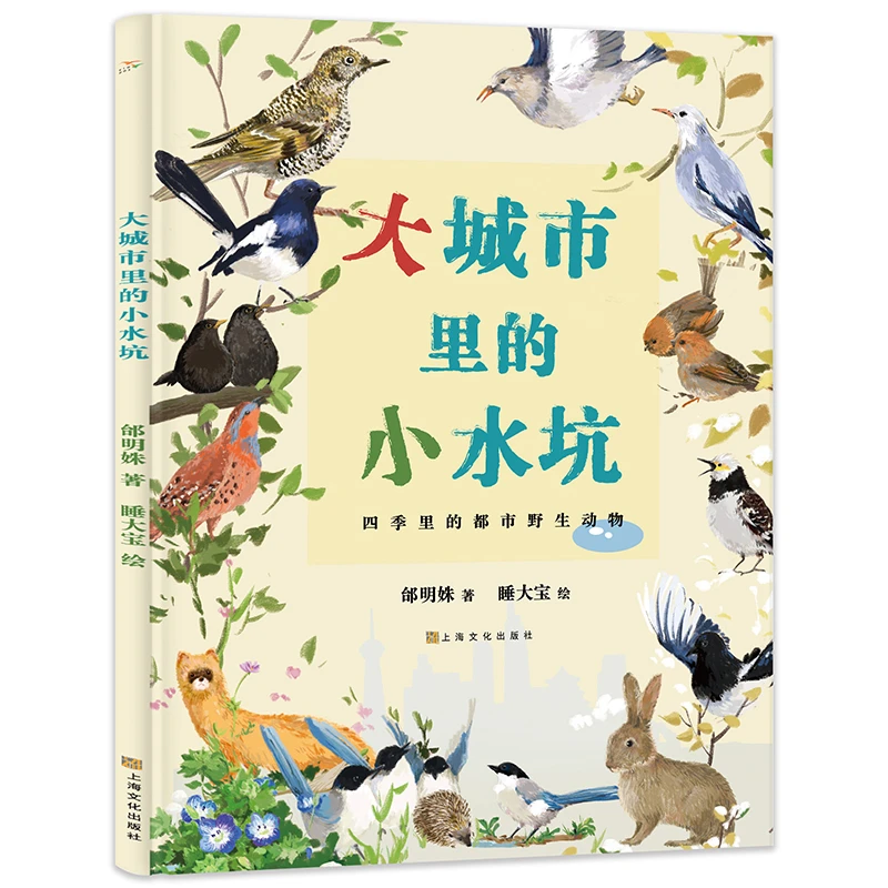 大城市里的小水坑：历时两年拍摄，感动万千网友视频美绘版 科普