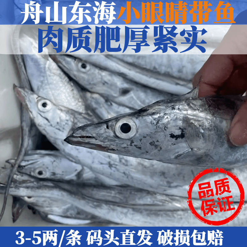 正宗国产舟山新鲜小眼带鱼整条带鱼（10条）可蒸可煮 3-5两/条