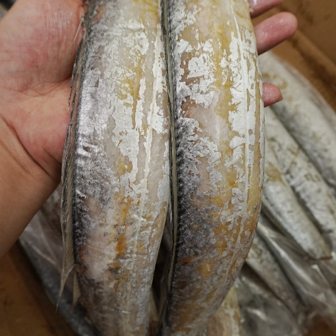 【风带鱼】正宗舟山风带鱼 新鲜油带现补现做 满口油脂 唇齿留香