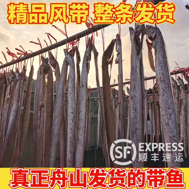【整条发货】舟山特产风带鱼带鱼 小眼睛本地咸带鱼非干货B