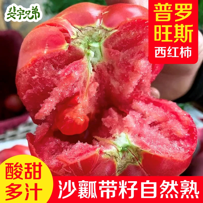 【中通包邮】山东沙瓤普罗旺斯西红柿自然熟4.5斤新鲜柿子普装