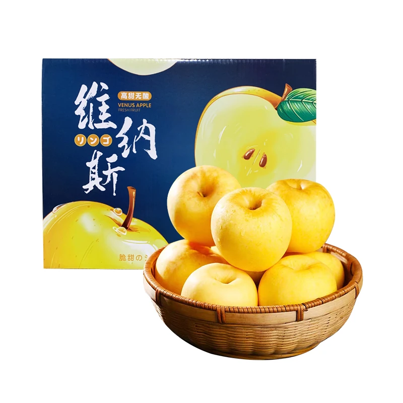 【顺丰包邮】烟台维纳斯黄金苹果一级果4.5斤烟台新鲜水果产地直发