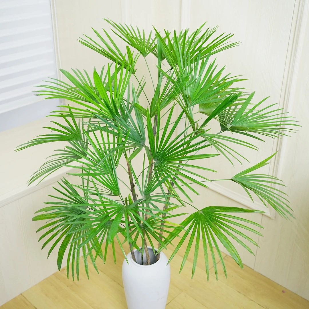 水培棕竹室内桌面绿植花四季常青【买三枝送三枝,到手六枝】