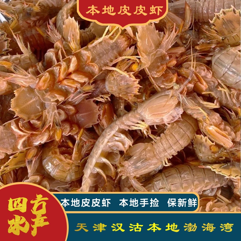 【中大皮皮虾】本地码头中大皮皮虾（一斤18-19只左右）