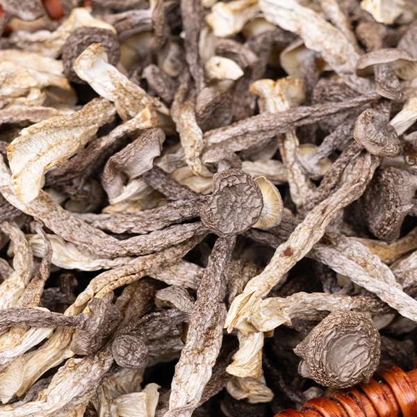 【粤海周年庆】鹿茸菇无硫精选花胶煲汤炒菜农家足干干货