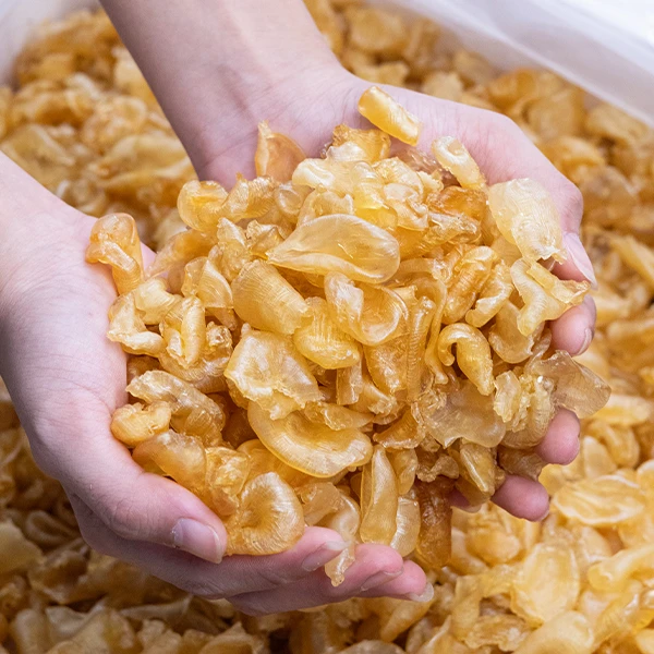 深海小黄鱼珍珠胶小个头花胶鲜炖足干淡晒珍珠胶滋补炖汤奶冻胶原