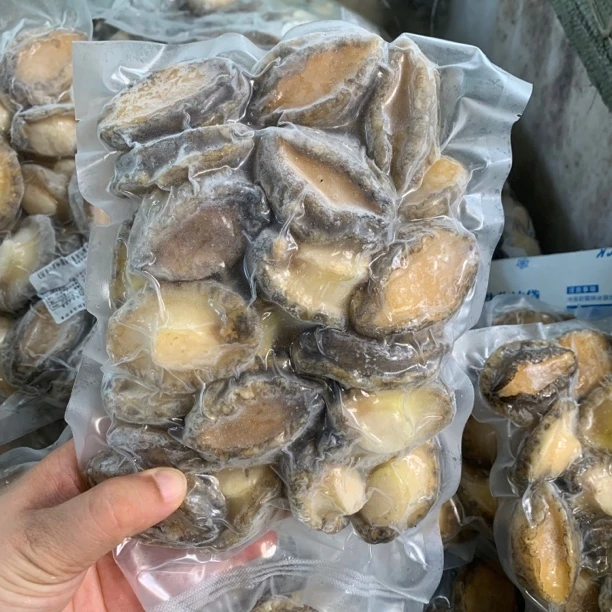 连云港8月份当季鲍鱼纯肉1斤约25头左右大号鲍鱼肉高品质
