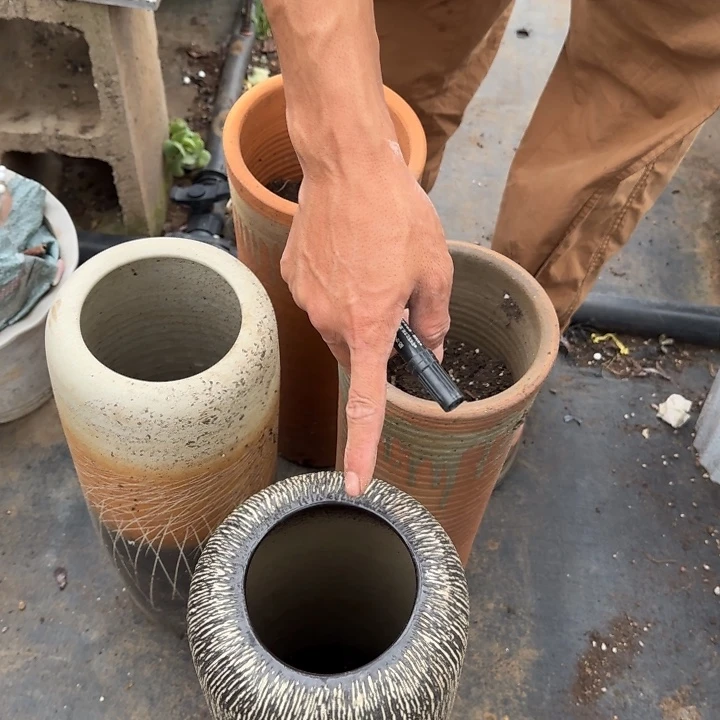 四个盆发物流不包邮