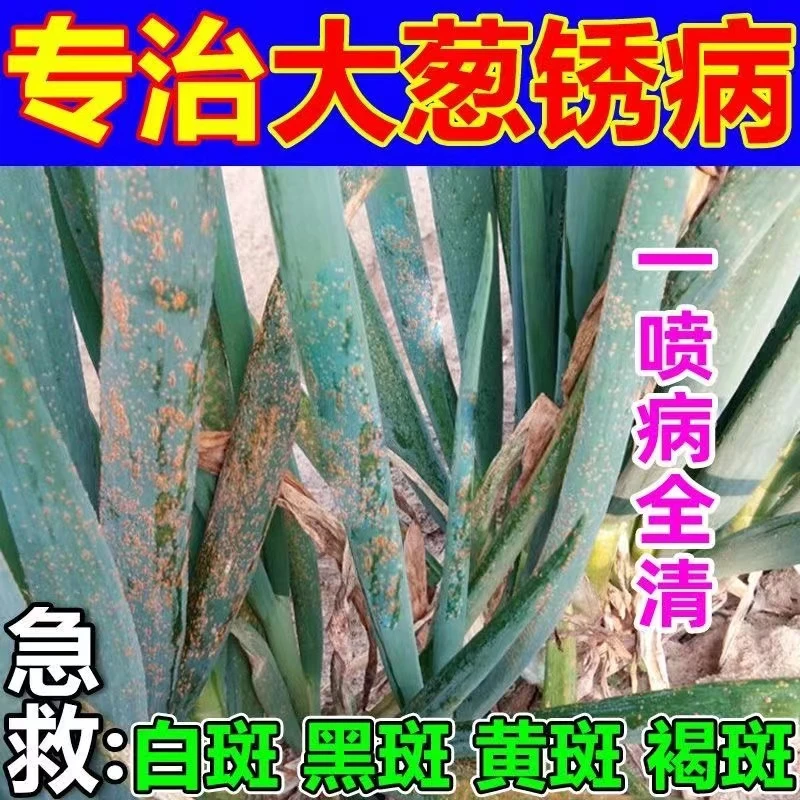 大葱白斑病葱病药专用杀菌剂病全治预防急救锈病黄叶干尖黑斑病