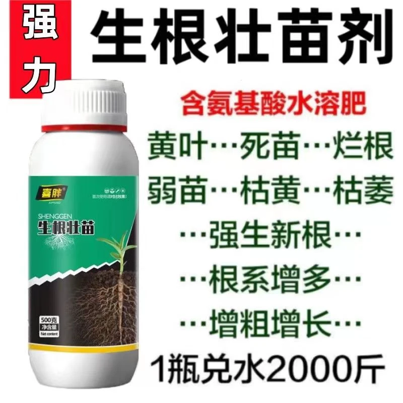 生根壮苗剂生根粉根多多强力生根液生根剂壮苗剂扦插移栽冲施肥