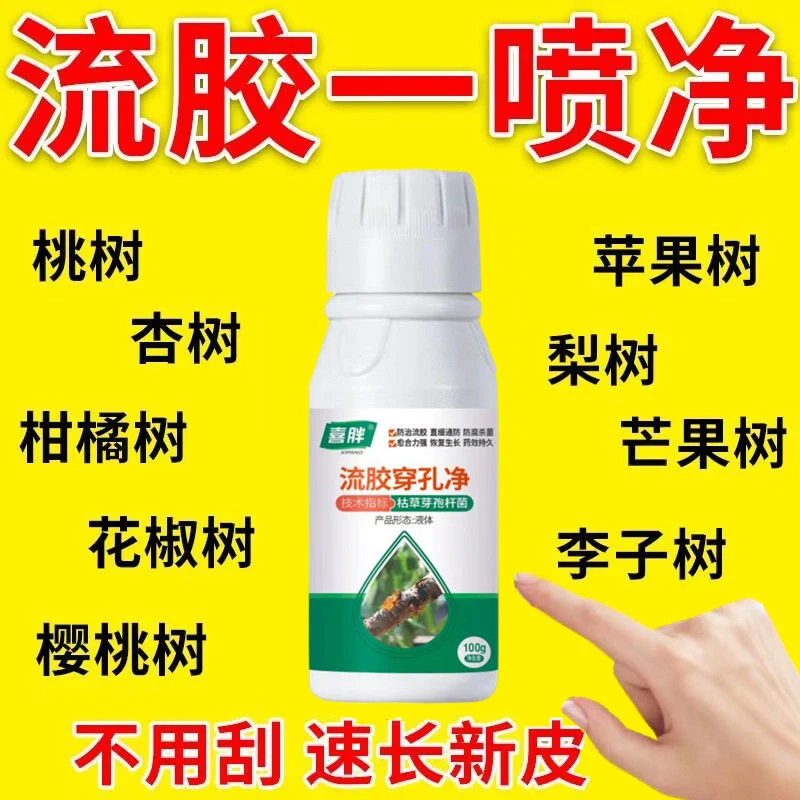 流胶病专用流胶一喷净桃树流胶病柑橘果树溃疡病腐烂病流胶穿孔净