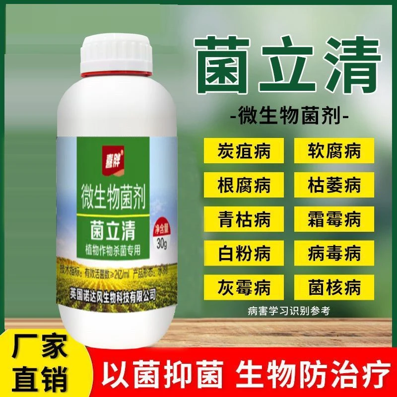 菌立清真菌细菌病害锈病黄叶白粉病炭疽病根腐蔬菜大田通用菌剂