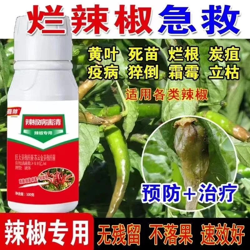 【辣椒专用】辣椒全治卷叶烂尖炭疽病特效农药辣椒微生物菌剂